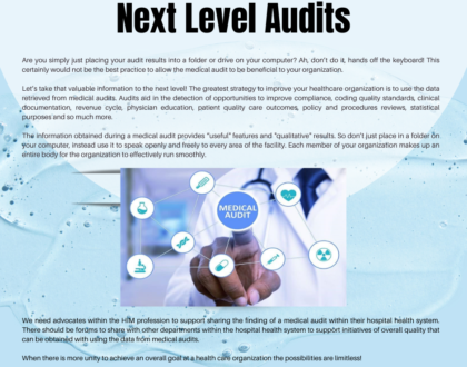 Next Level Audits